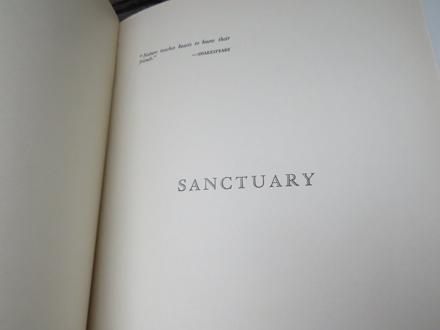 Sanctuary By C.S. Stokes 1944