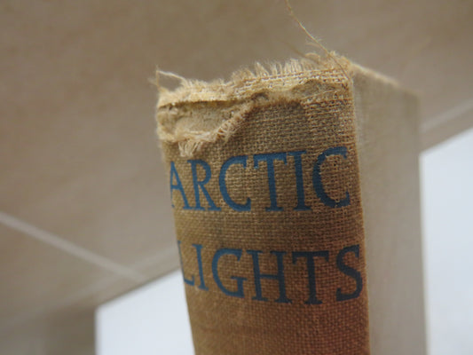 Arctic Lights by Desmond Holdridge, Illustrated by Edward Shenton