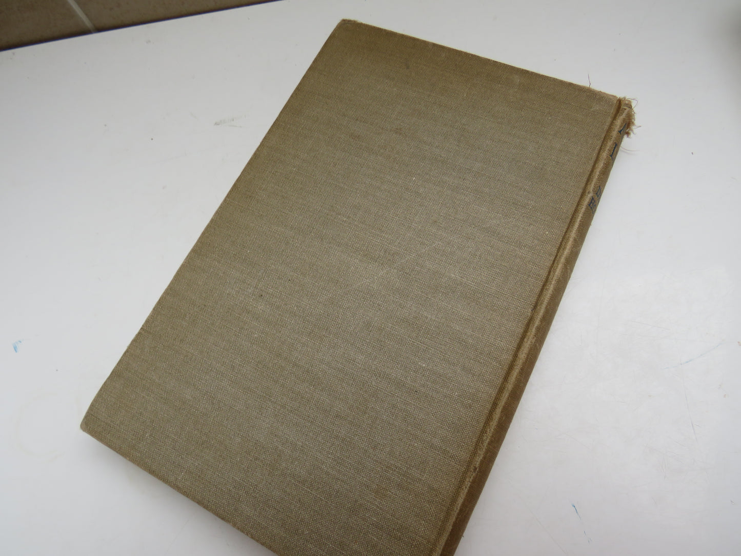 Arctic Lights by Desmond Holdridge, Illustrated by Edward Shenton