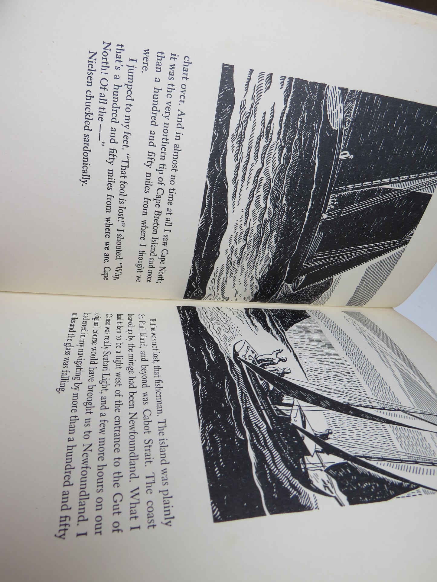 Arctic Lights by Desmond Holdridge, Illustrated by Edward Shenton