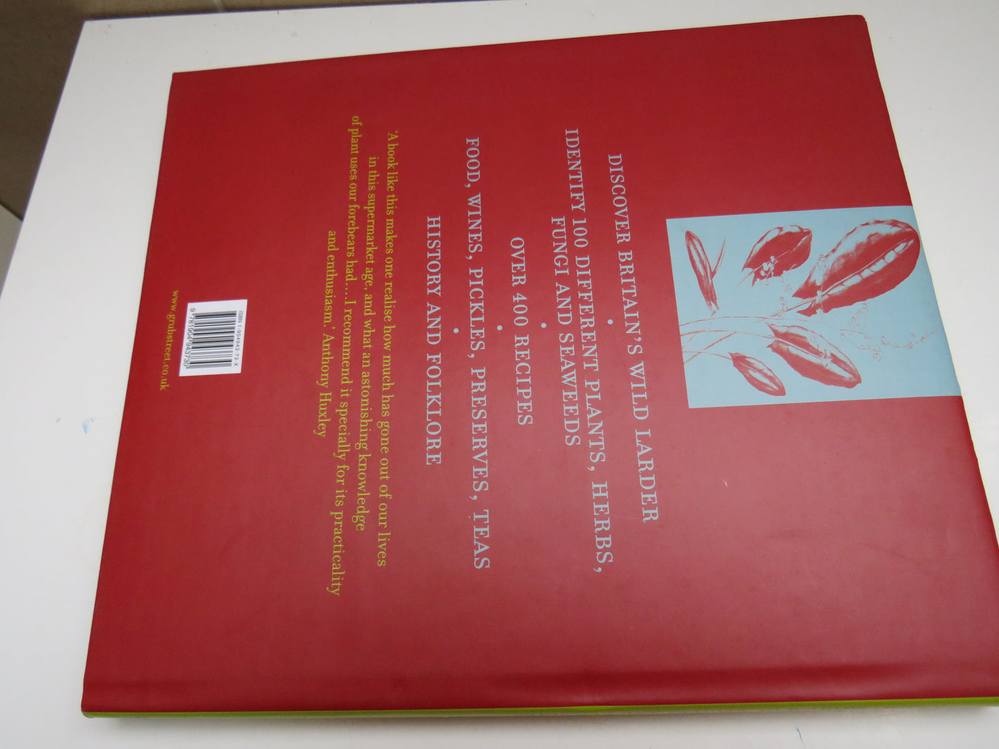 Edible Wild Plants & Herbs by Pamela Michael, A Compendium of Recipes and Remedies, 2010