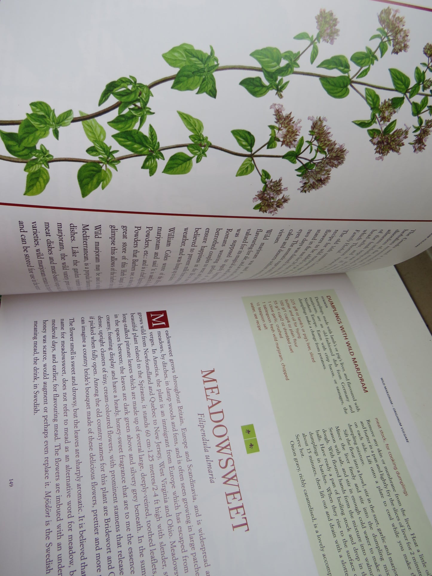 Edible Wild Plants & Herbs by Pamela Michael, A Compendium of Recipes and Remedies, 2010