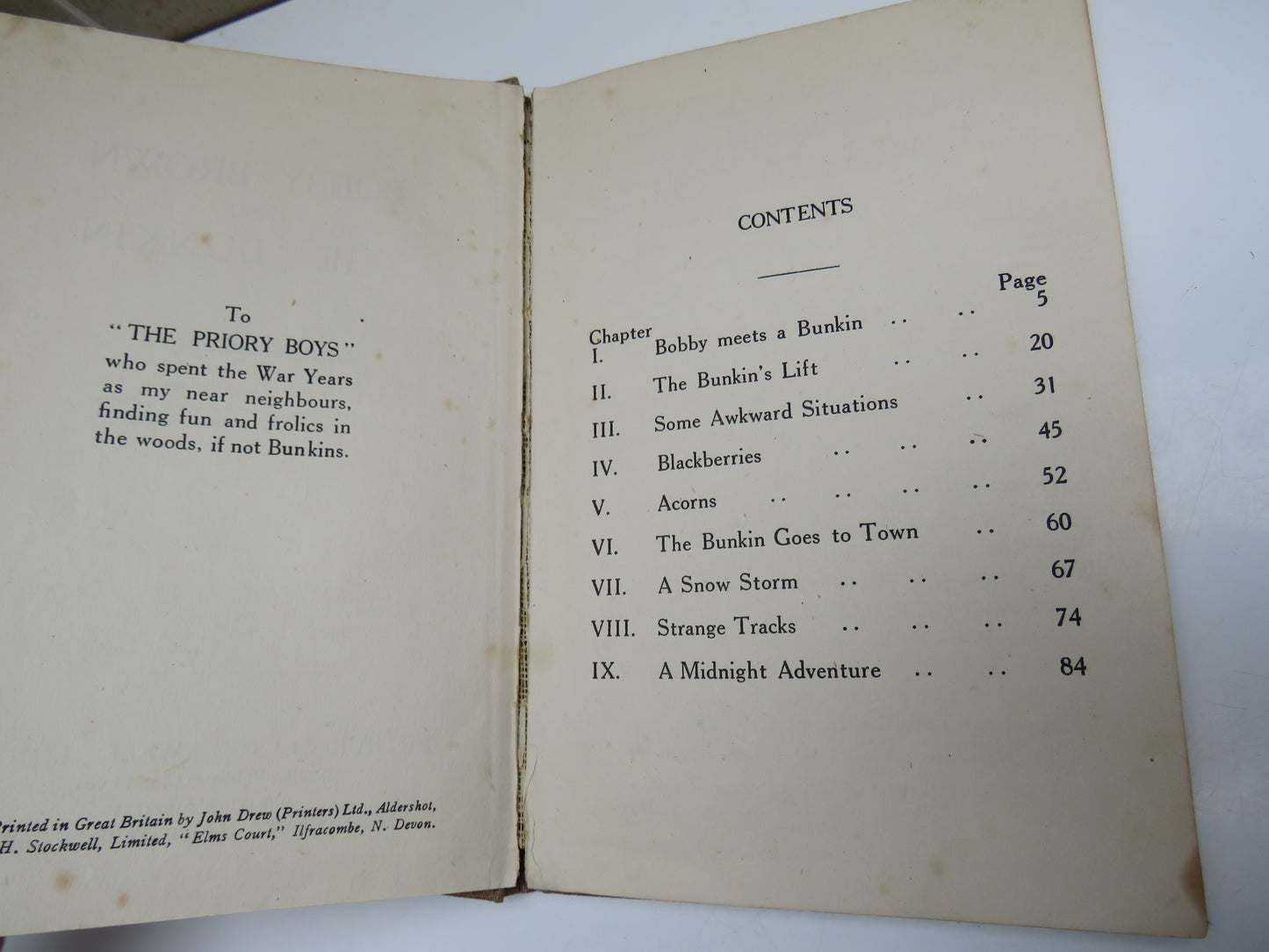 Bobby Brown and The Bunkin By D. Barbara Muir