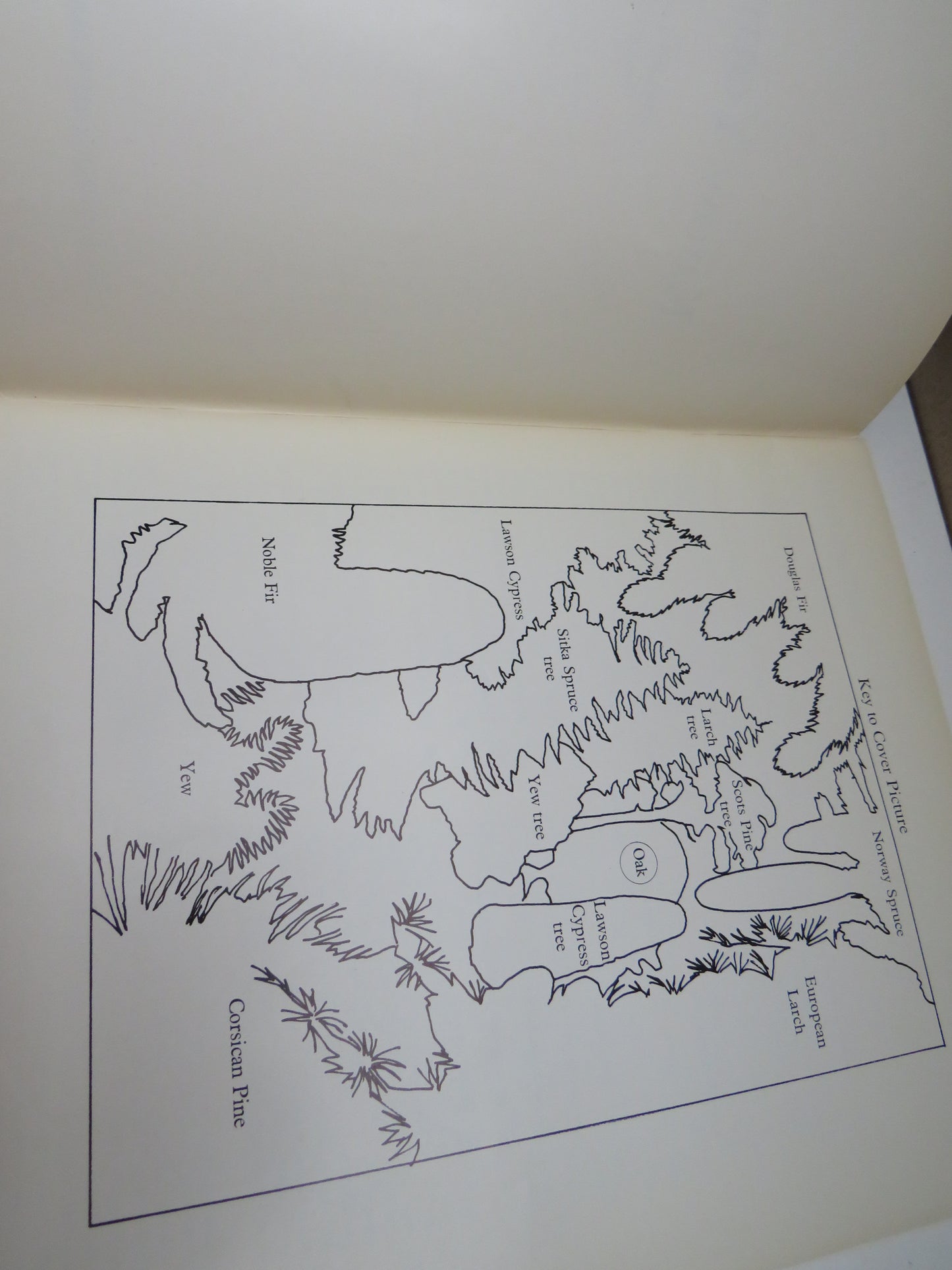 Know Your Conifers by Herbert L. Edlin, Forestry Commission Booklet No. 15, 1971