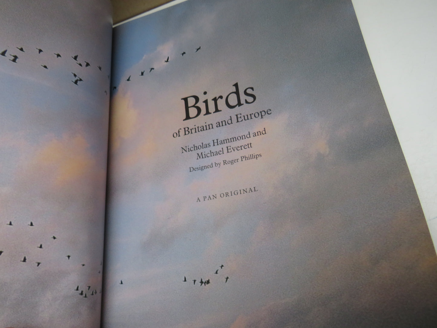 Birds of Britain and Europe by Nicholas Hammond & Michael Everett, 1980