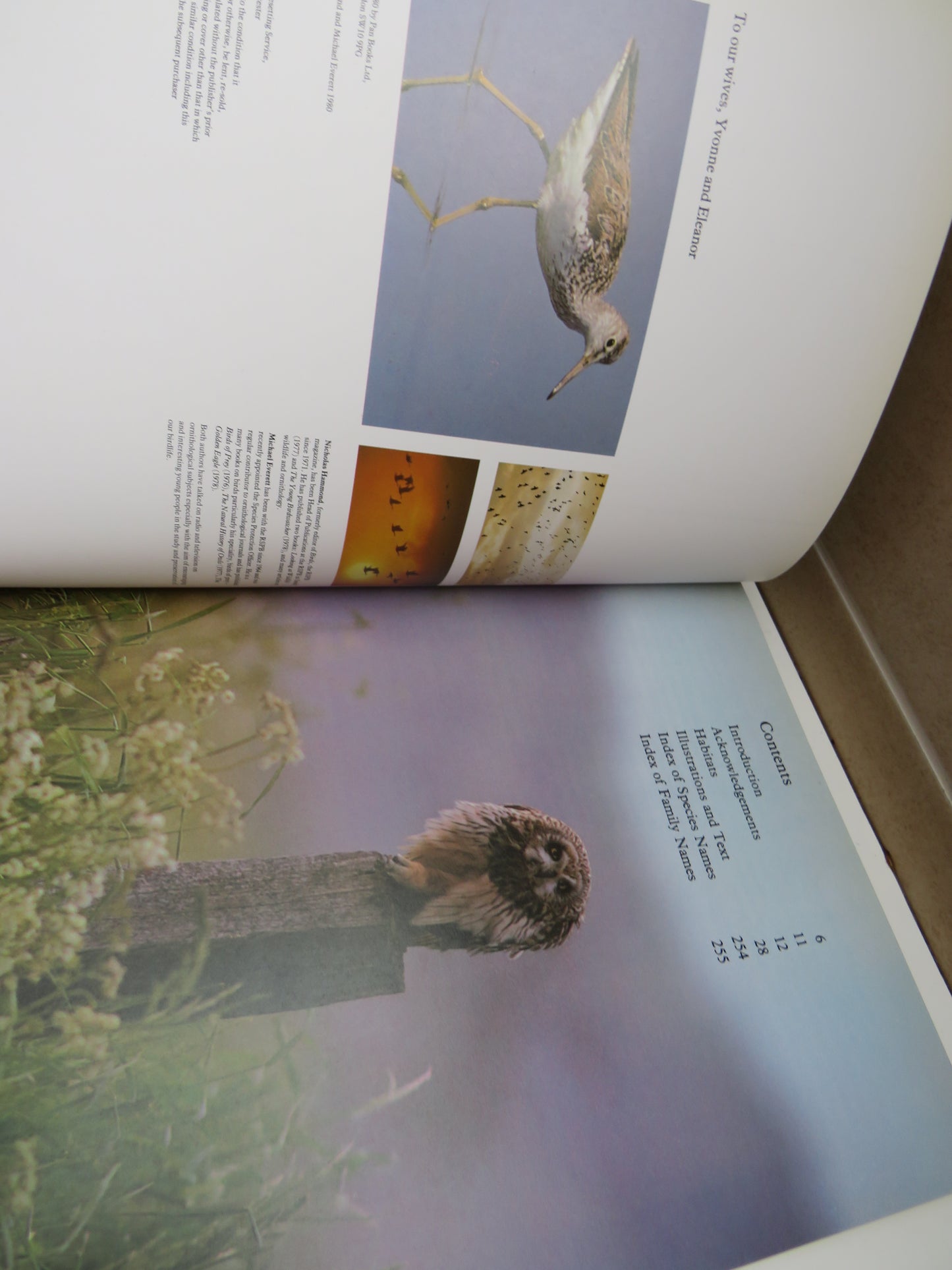 Birds of Britain and Europe by Nicholas Hammond & Michael Everett, 1980