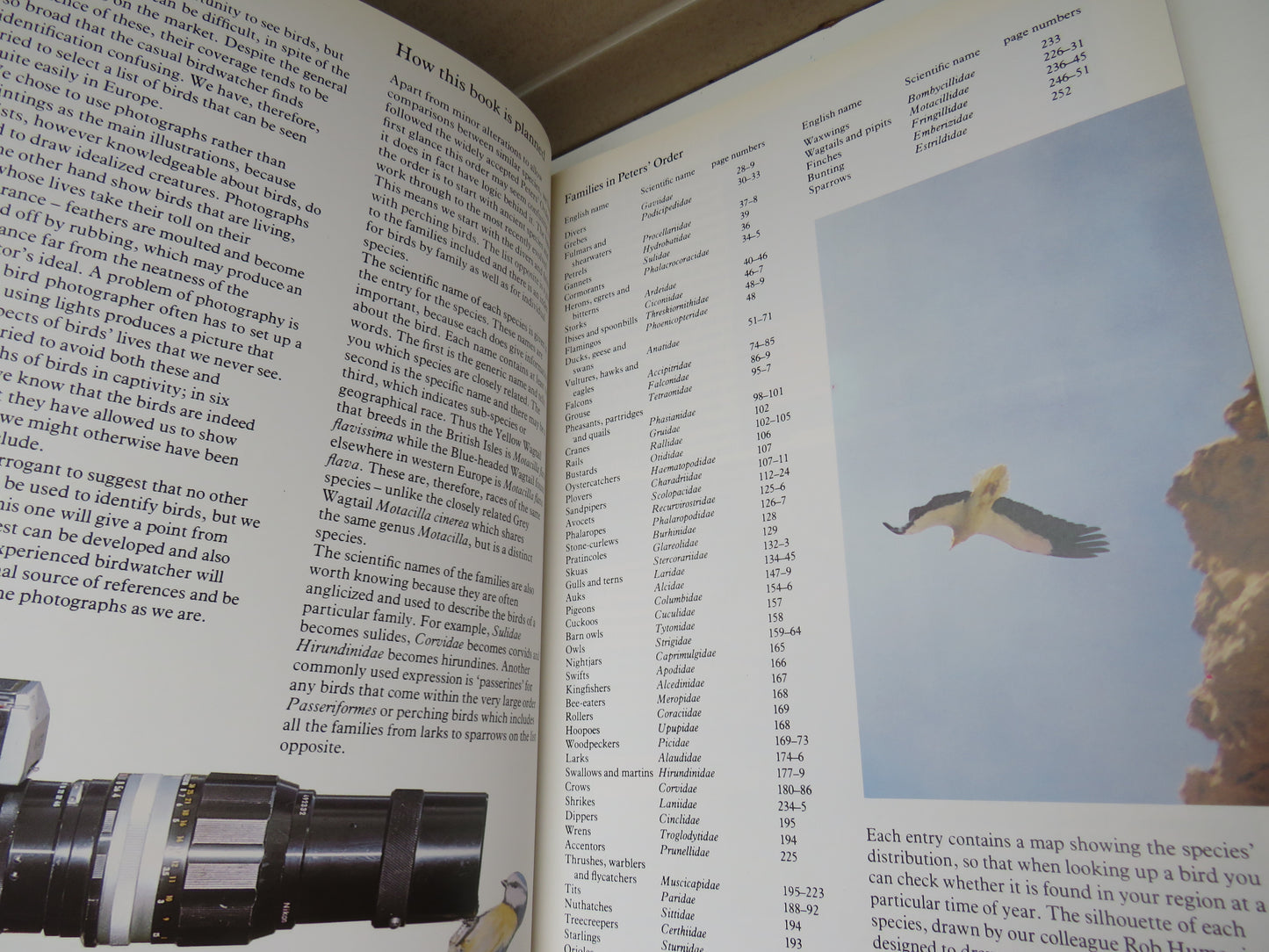 Birds of Britain and Europe by Nicholas Hammond & Michael Everett, 1980