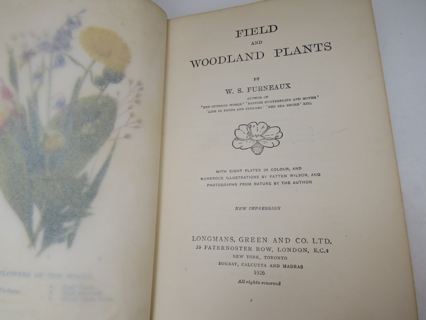Field and Woodland Plants by W. S. Furneaux, 1926