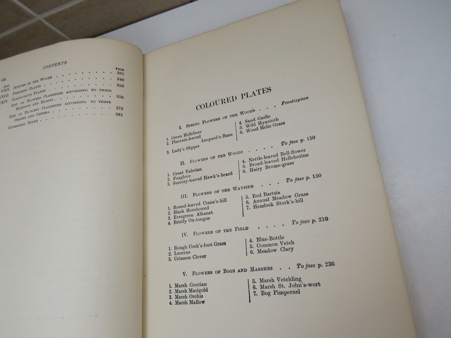 Field and Woodland Plants by W. S. Furneaux, 1926