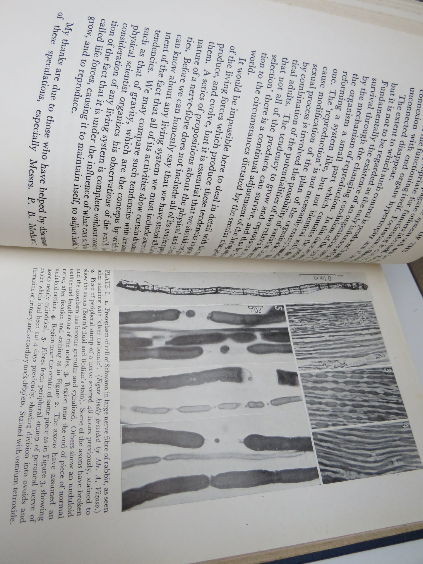 Essays on Growth and Form presented to D'arcy Wentworth Thompson, 1947