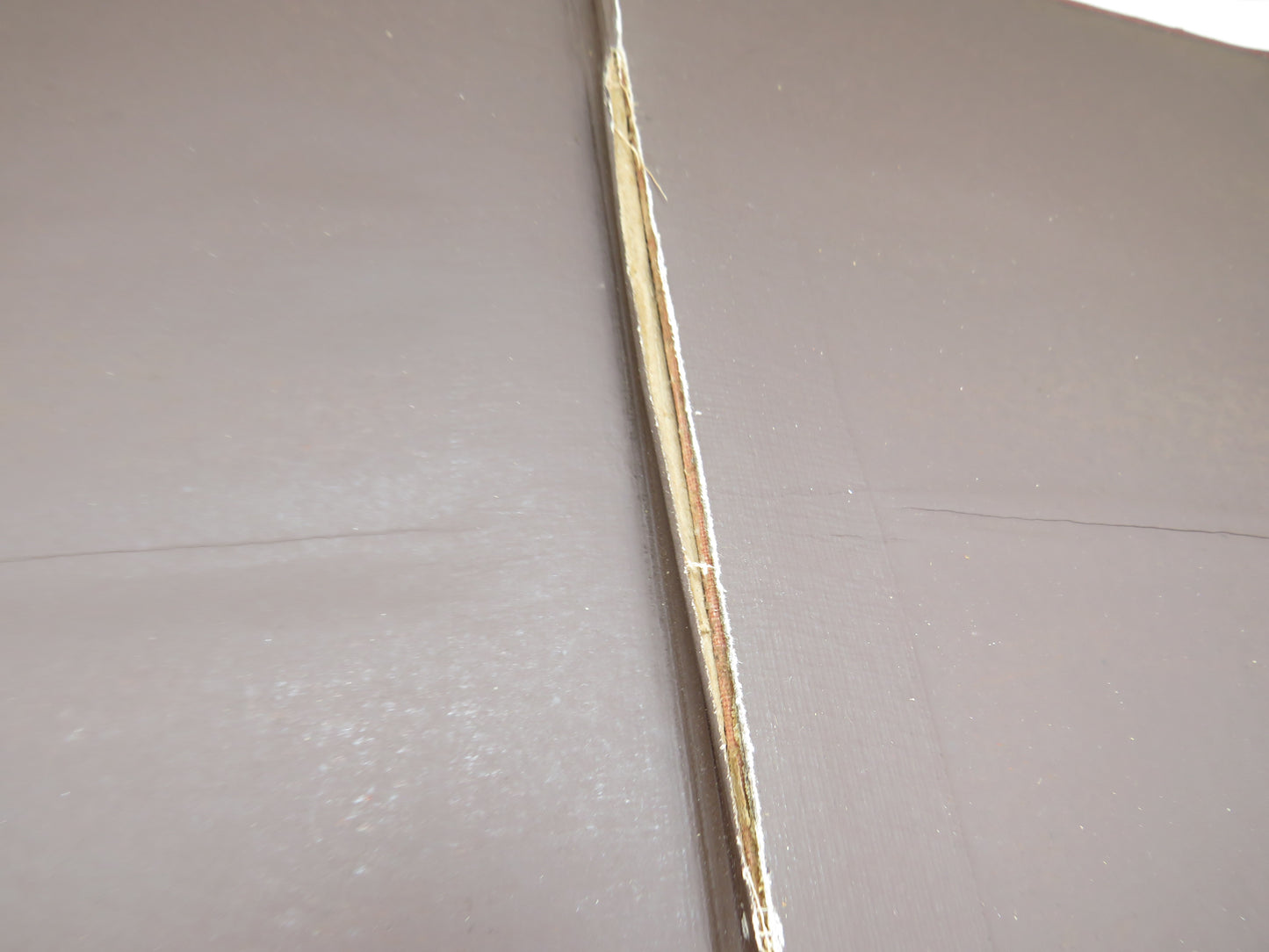 Extracts From The Council Register Of The Burgh of Aberdeen 1643-1747 - 1872