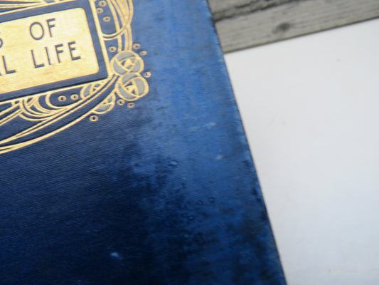 Scenes of Clerical Life By George Eliot Illustrated By Chris Hammond 1904