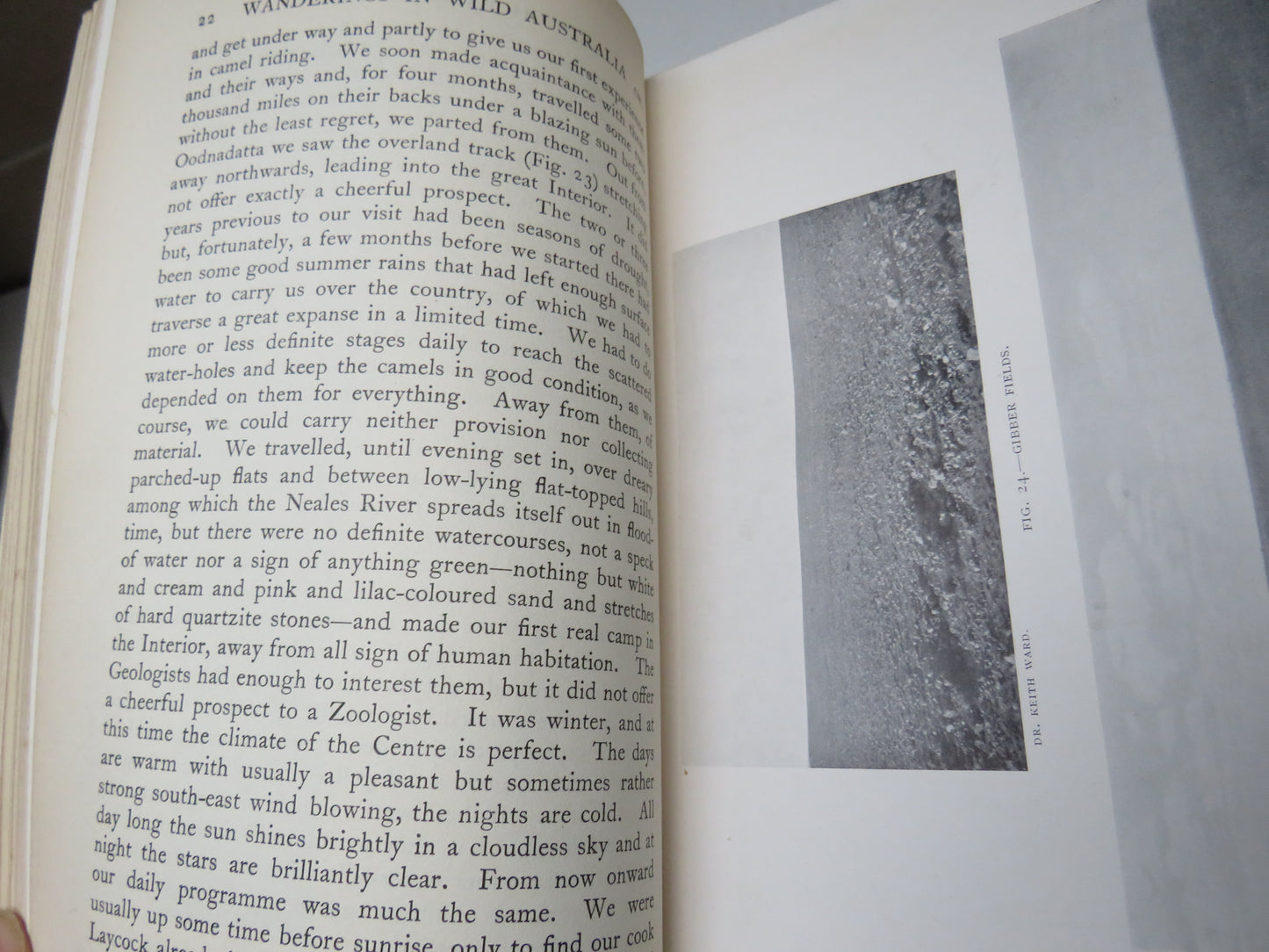 Wanderings In Wild Australia by Baldwin Spencer, 1928, Vol I & II, Antique Book