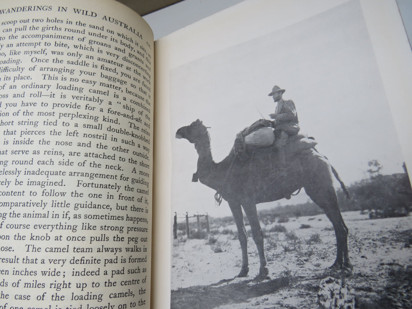 Wanderings In Wild Australia by Baldwin Spencer, 1928, Vol I & II, Antique Book