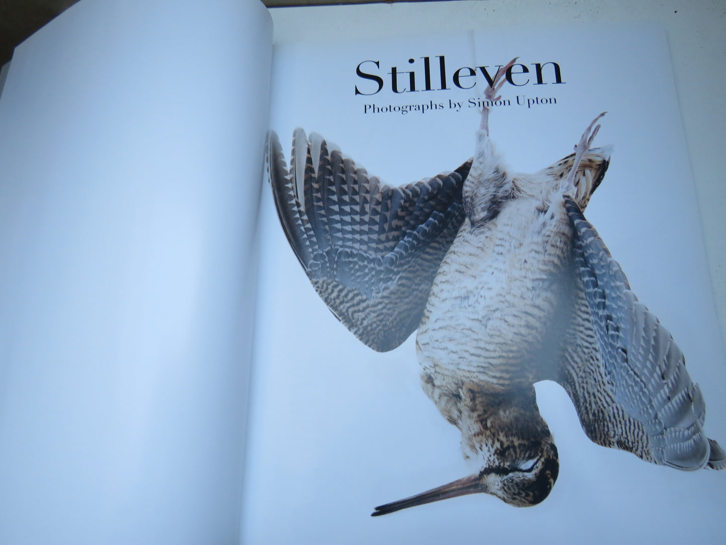 Stilleven Photographs By Simon Upton 2012