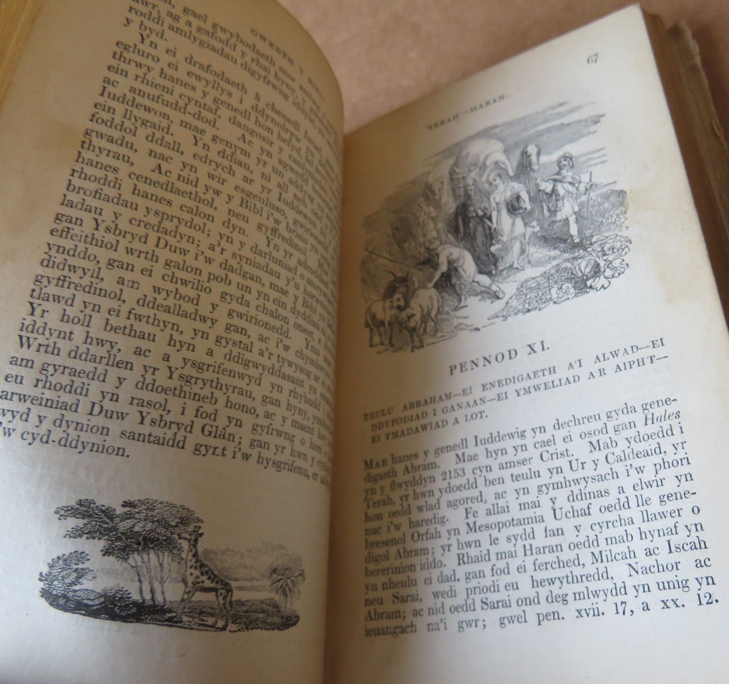 Y Patriarchiaid LLundain Cymdeithas Y Traethodau Crefyddol 1799 Antique Welsh Book