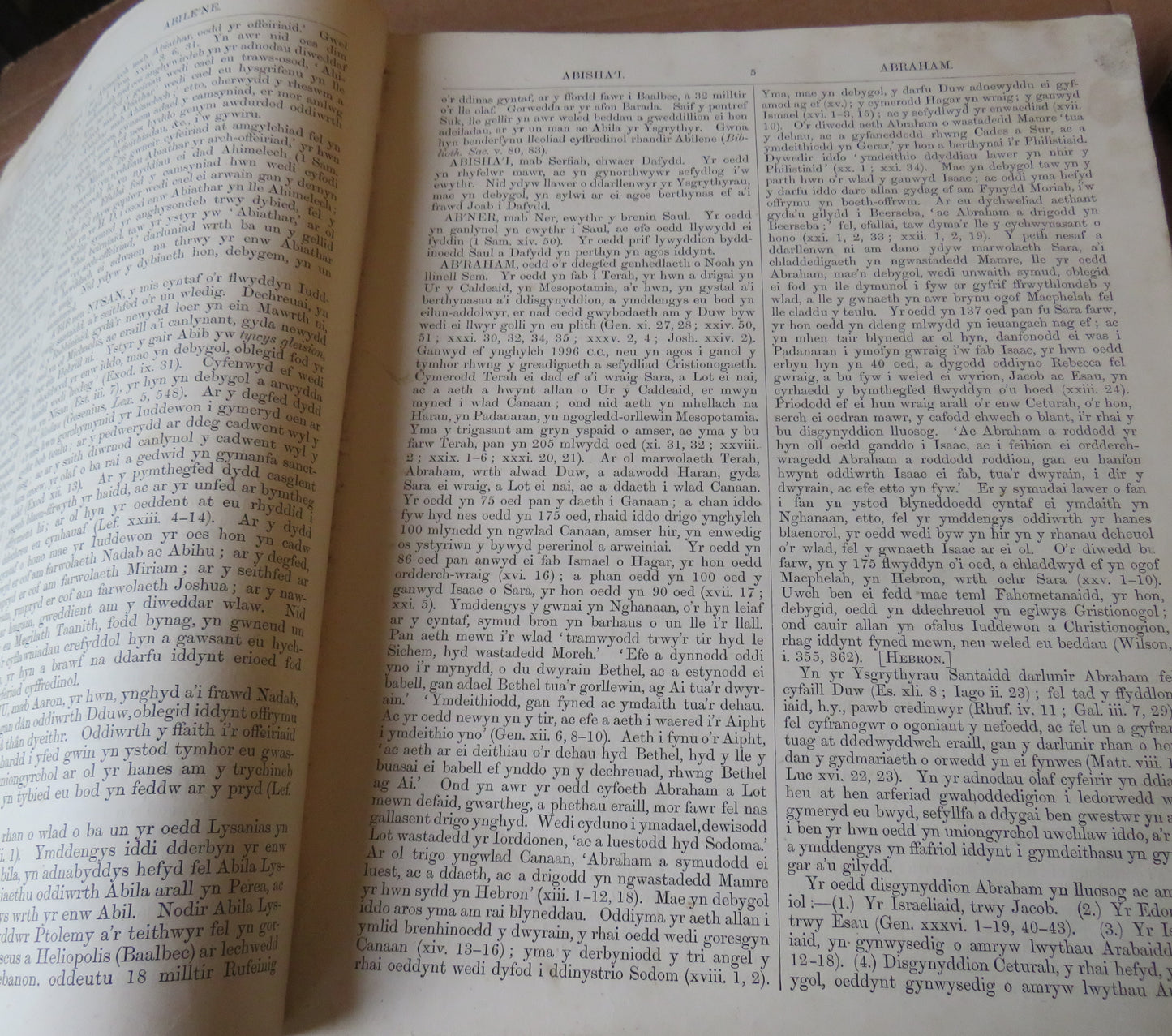 Agraphiad Newydd O Eiriadur Beiblaidd Y Barch John Brown