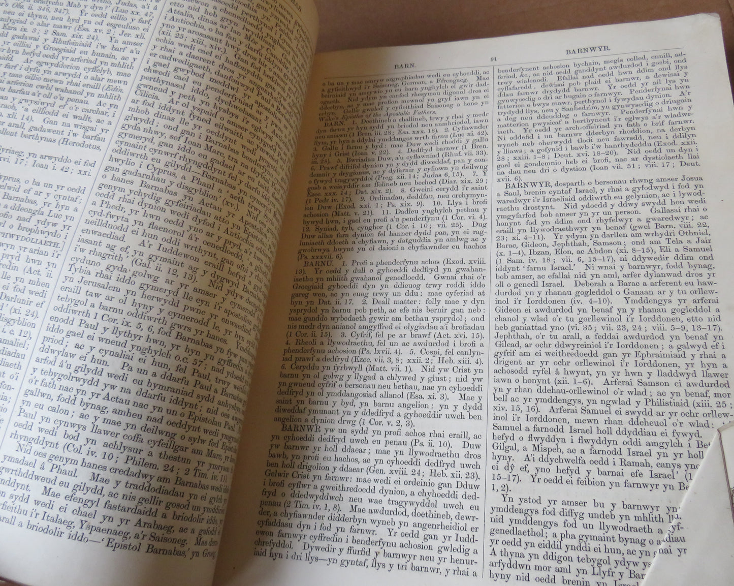 Agraphiad Newydd O Eiriadur Beiblaidd Y Barch John Brown