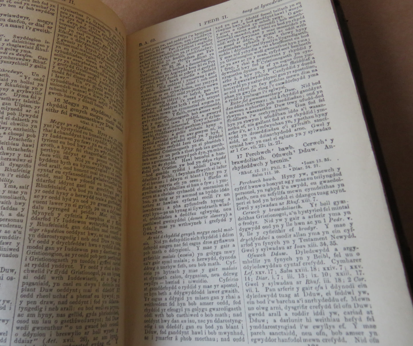 Y Testament Newydd Gyda Sylwadau Eglurhaol Ac Ymarferol Gan Y Parch Albert Barnes 1860