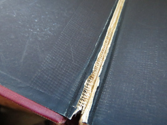 George Gilfillan: Letters and Journals With Memoir By Robert A. Watson and Elizabeth S. Watson 1892