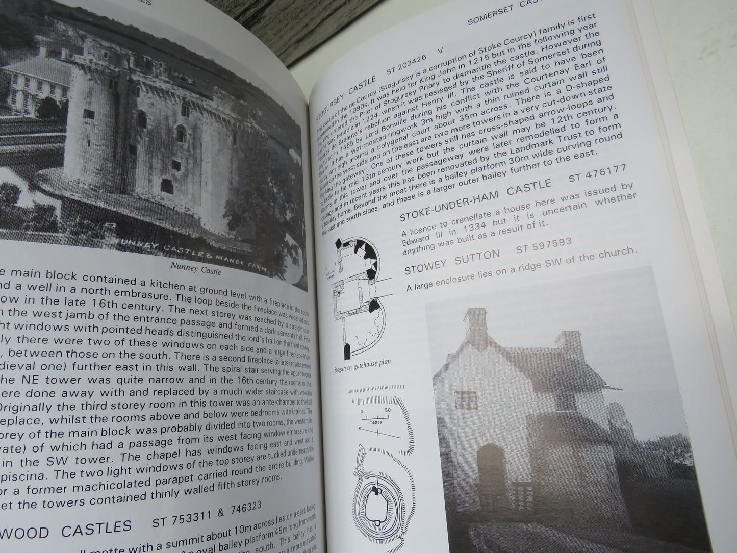 The Castles of Wessex By Mike Salter 2002