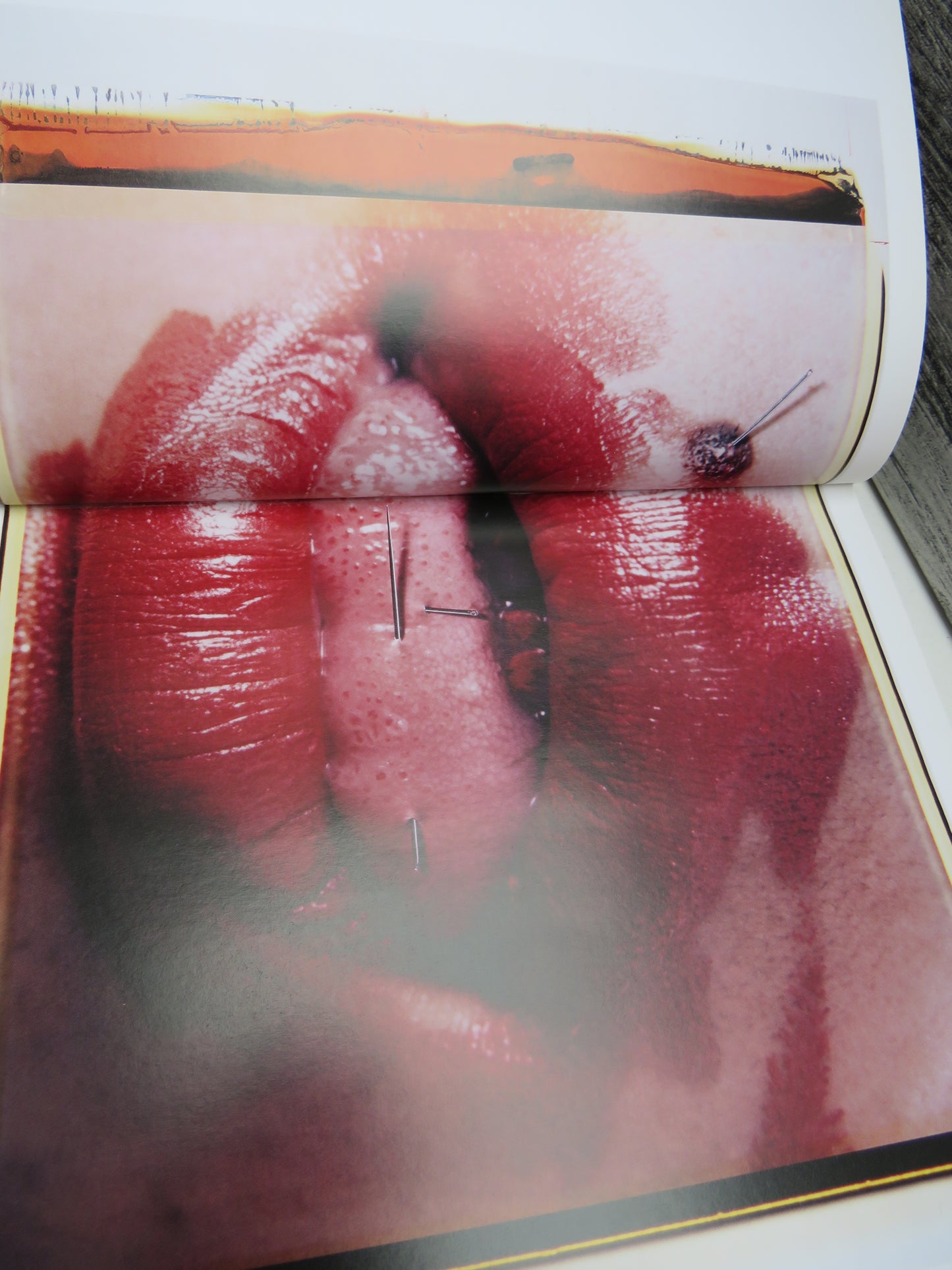 The Polaroid Book, Selection from the Polaroid Collections of Photography, edited by Steve Crist, 2004