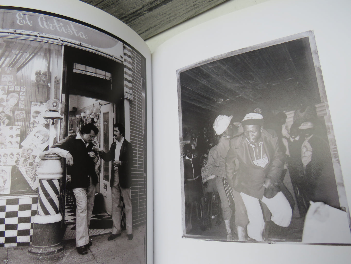 The Polaroid Book, Selection from the Polaroid Collections of Photography, edited by Steve Crist, 2004