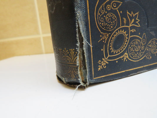 Classical Sculpture Gallery A Series of One Hundred and Fourty Four Reproductions From The Originals In The Galleries and Private Collections of Europe 1897