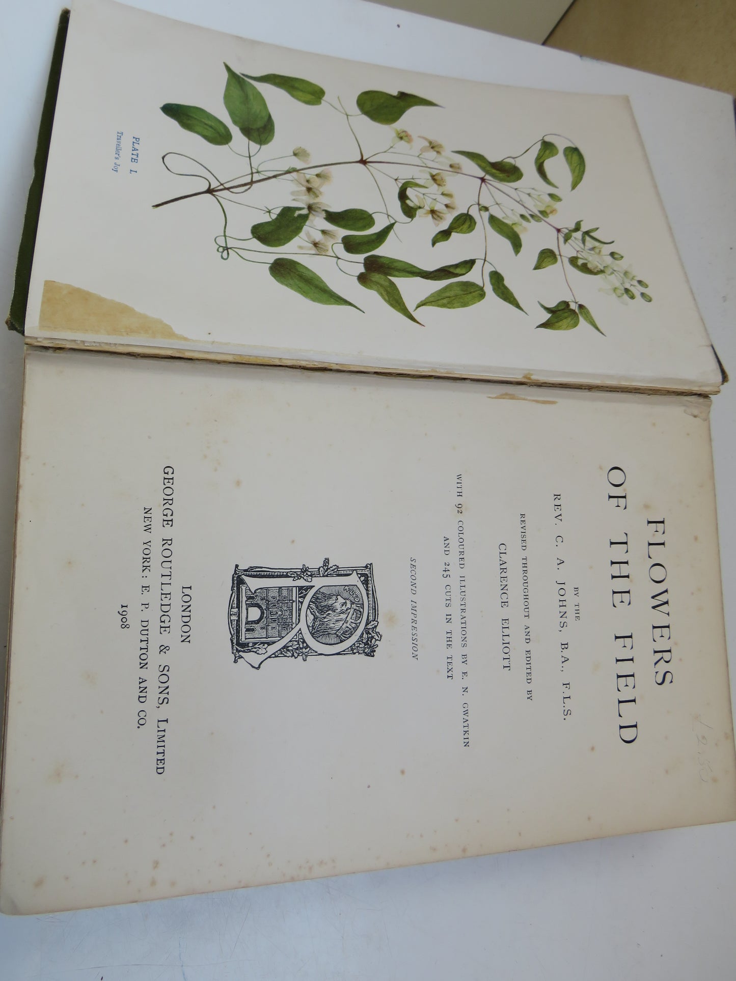 Flowers Of The Field by Rev. C. A. Johns, 1908, Antique Botanical Book