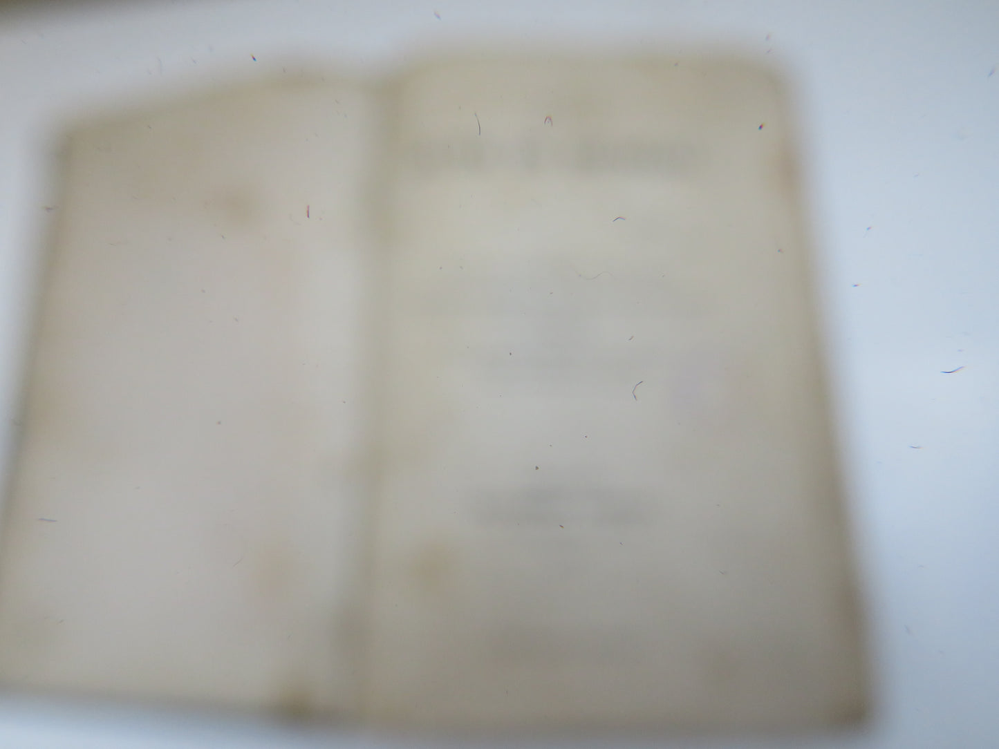 Jute In Bengal By Nibaran Chandra Chaudhury 1908 Antique Edwardian Book