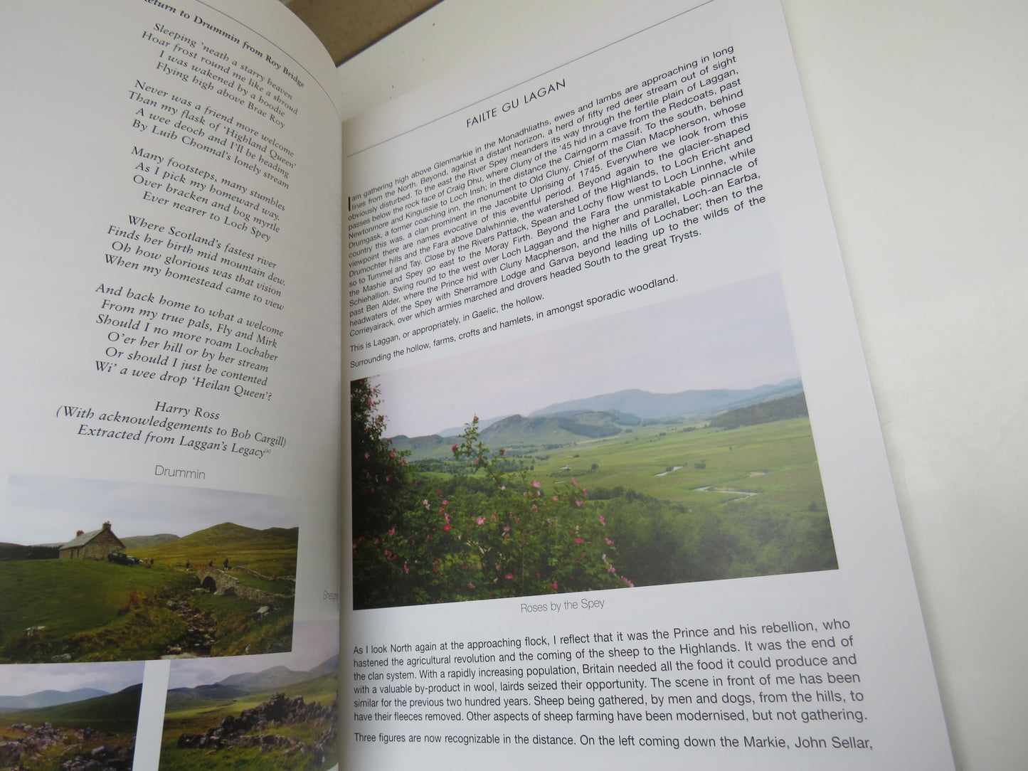 Stells Stools Strupag, A Personal Reminiscence of Sheep, Sheepherding, Farming and the Social Activities of a Highland Parish by Campbell Slimon