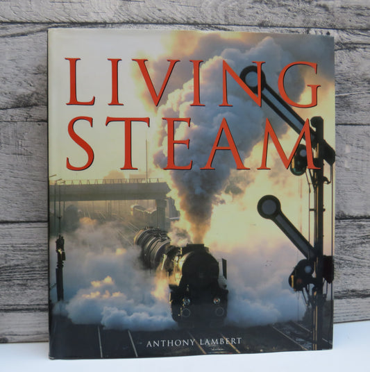 Living Steam By Anthony Lambert 2005