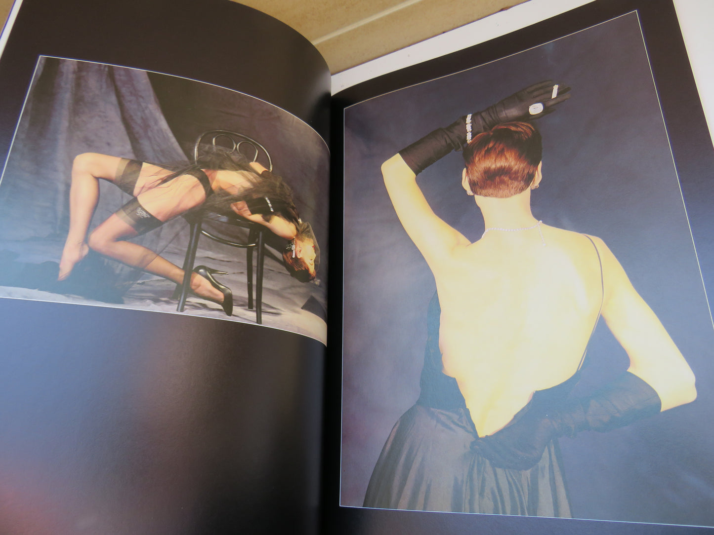 Contemporary American Erotic Photography 1985