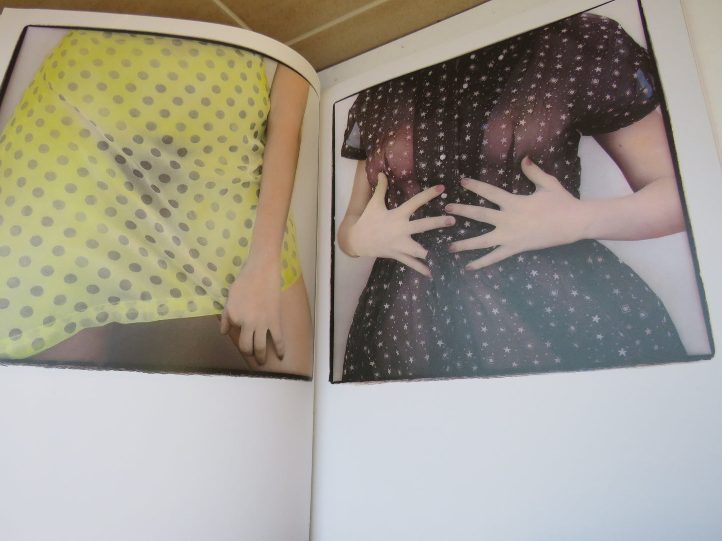Contemporary American Erotic Photography 1985