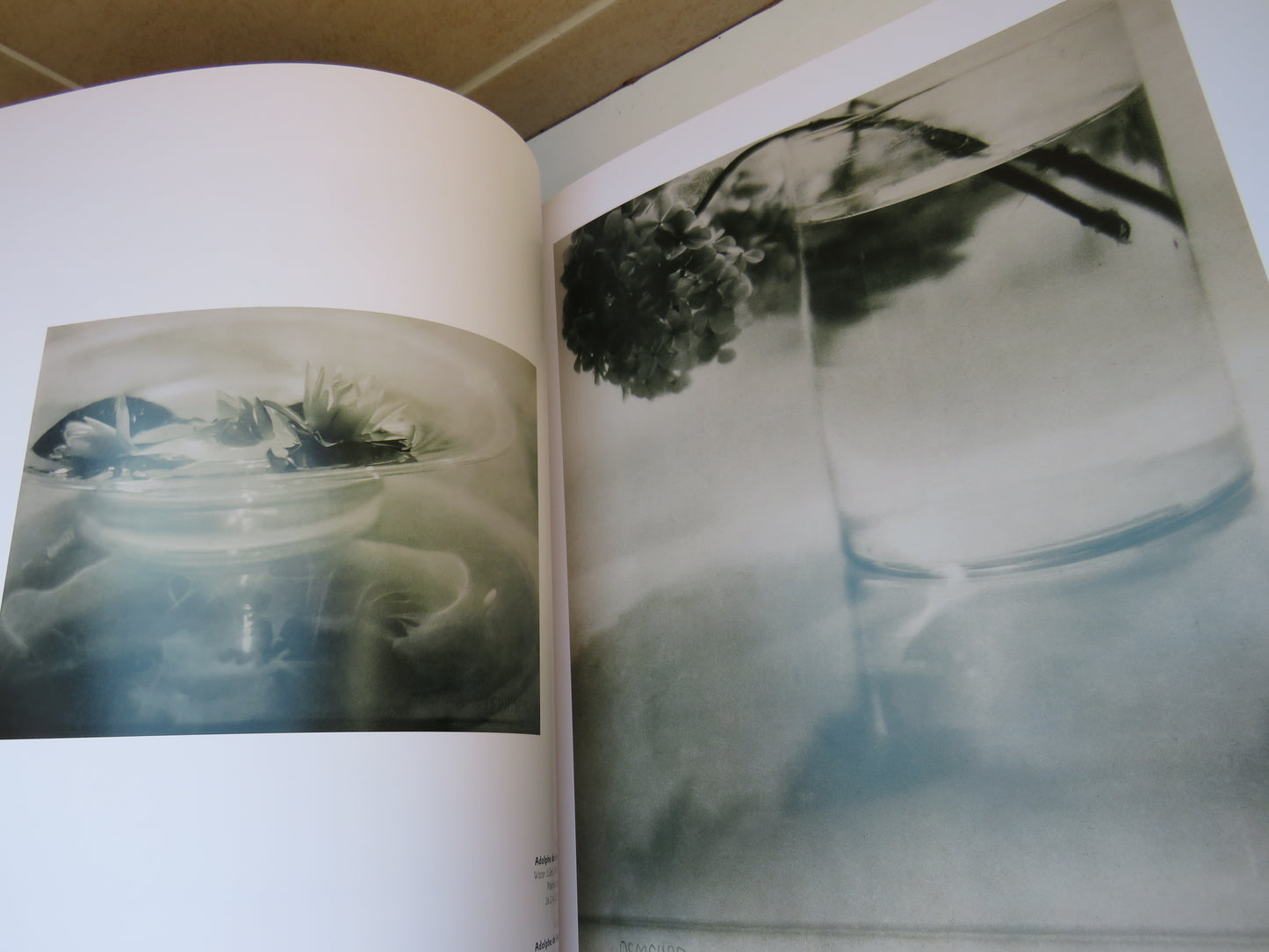 Impressionist Camera Pictorial Photography In Europe, 1888-1918