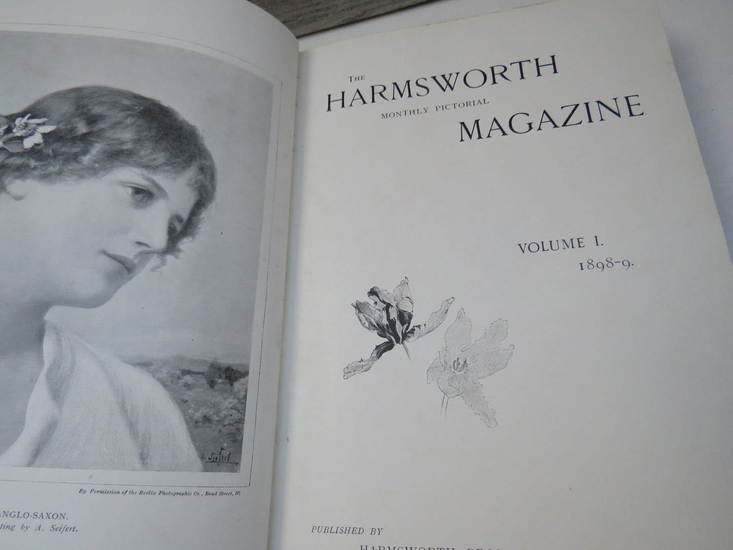 The Harmsworth Monthly Pictorial Magazine, Volumes I-III, 1898-9, 3 Volume Set