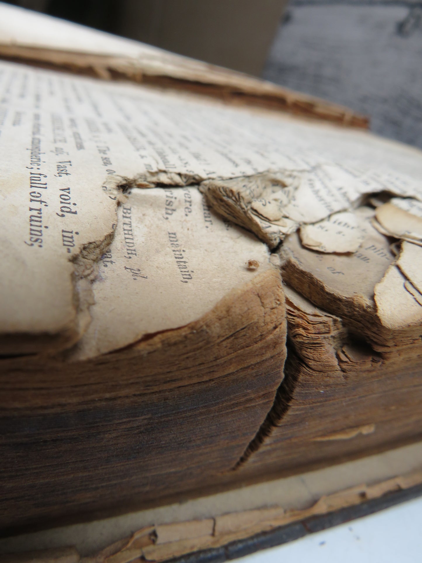 Historical 19thC Scottish Book With Gun Shot A Dictionary of The Gaelic Language In Two Parts 1833 Interesting Scottish Highland Book
