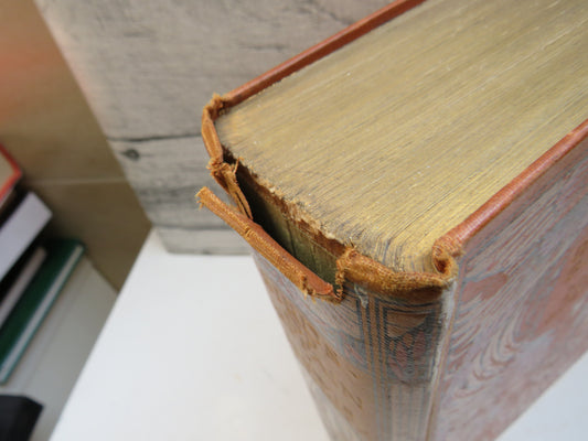 Birds of Britain by J. Lewis Bonhote, 1907