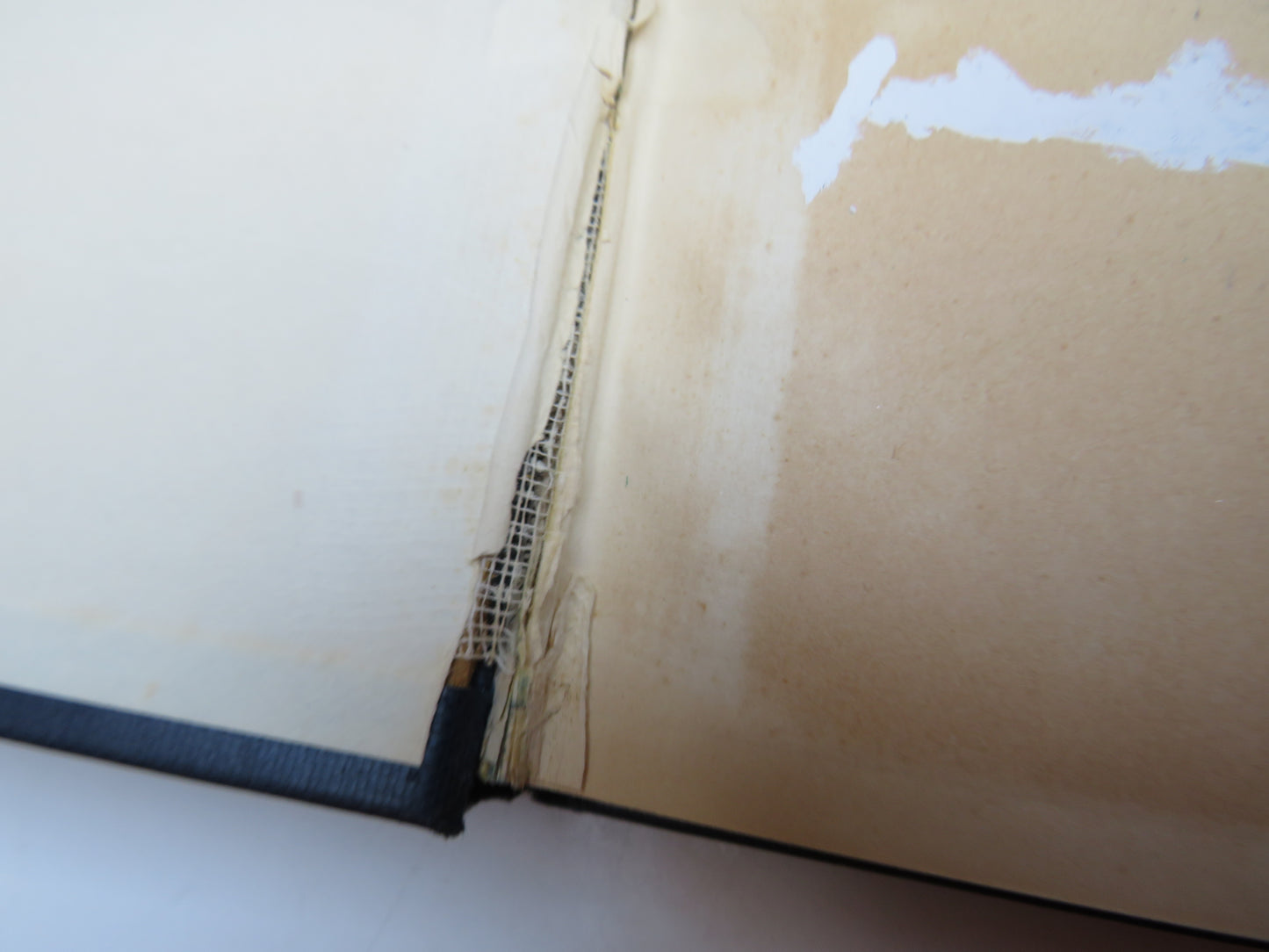 The Domestic Papers of the Rose Family Edited By Alistair & Henrietta Tayler 1926