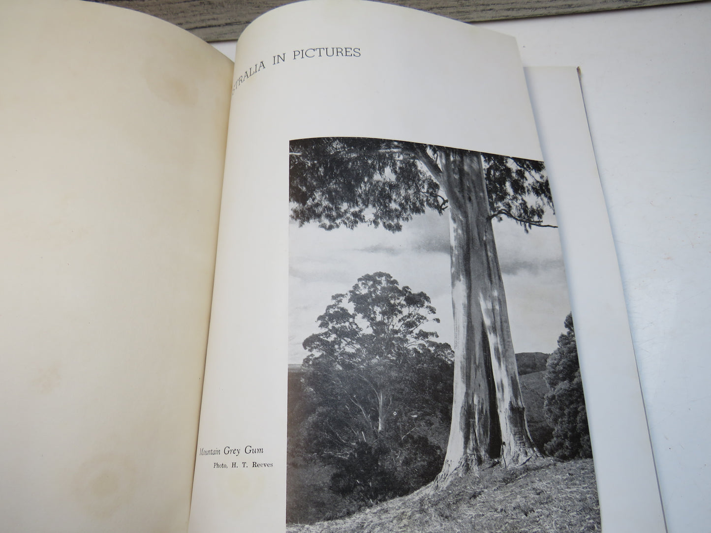 Australia in Pictures by Charles Barrett, 1946
