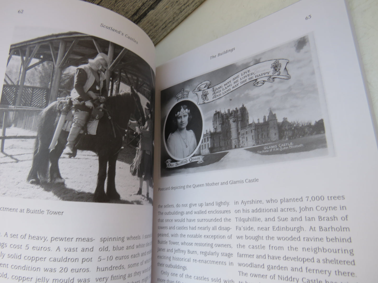 Scotland's Castles Rescued, Rebuilt and Reoccupied By Janet Brennan-Inglis 2014