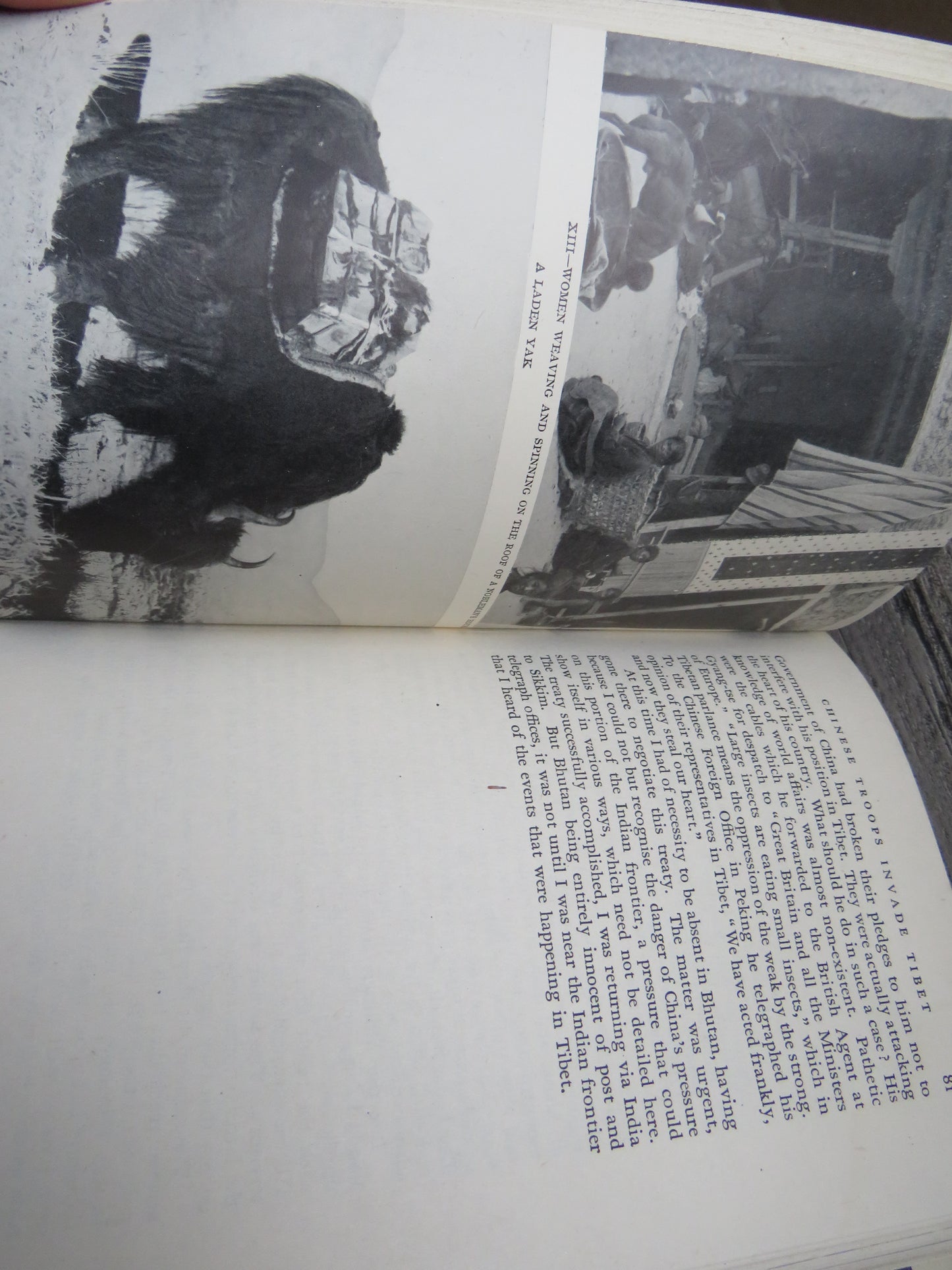 Portrait of the Dalai Lama by Sir Charles Bell, 1946, Vintage History Book