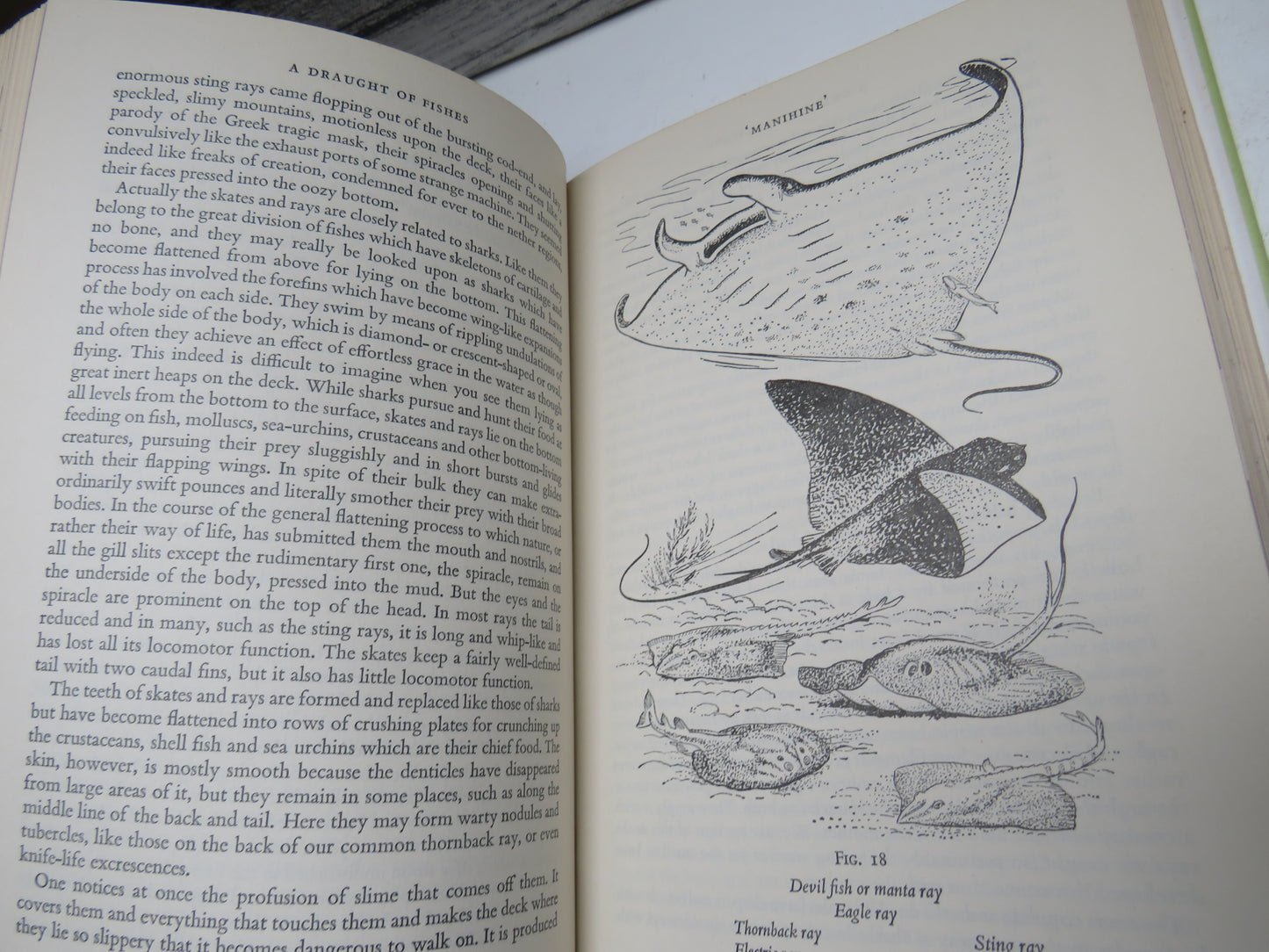 A Draught of Fishes By F.D. Ommanney 1965 1st Edition
