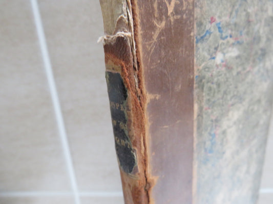 The Gospel of St. John In Latin With An Interlineal and Analytical Translation on the Principles of the Hamiltonian System 1826