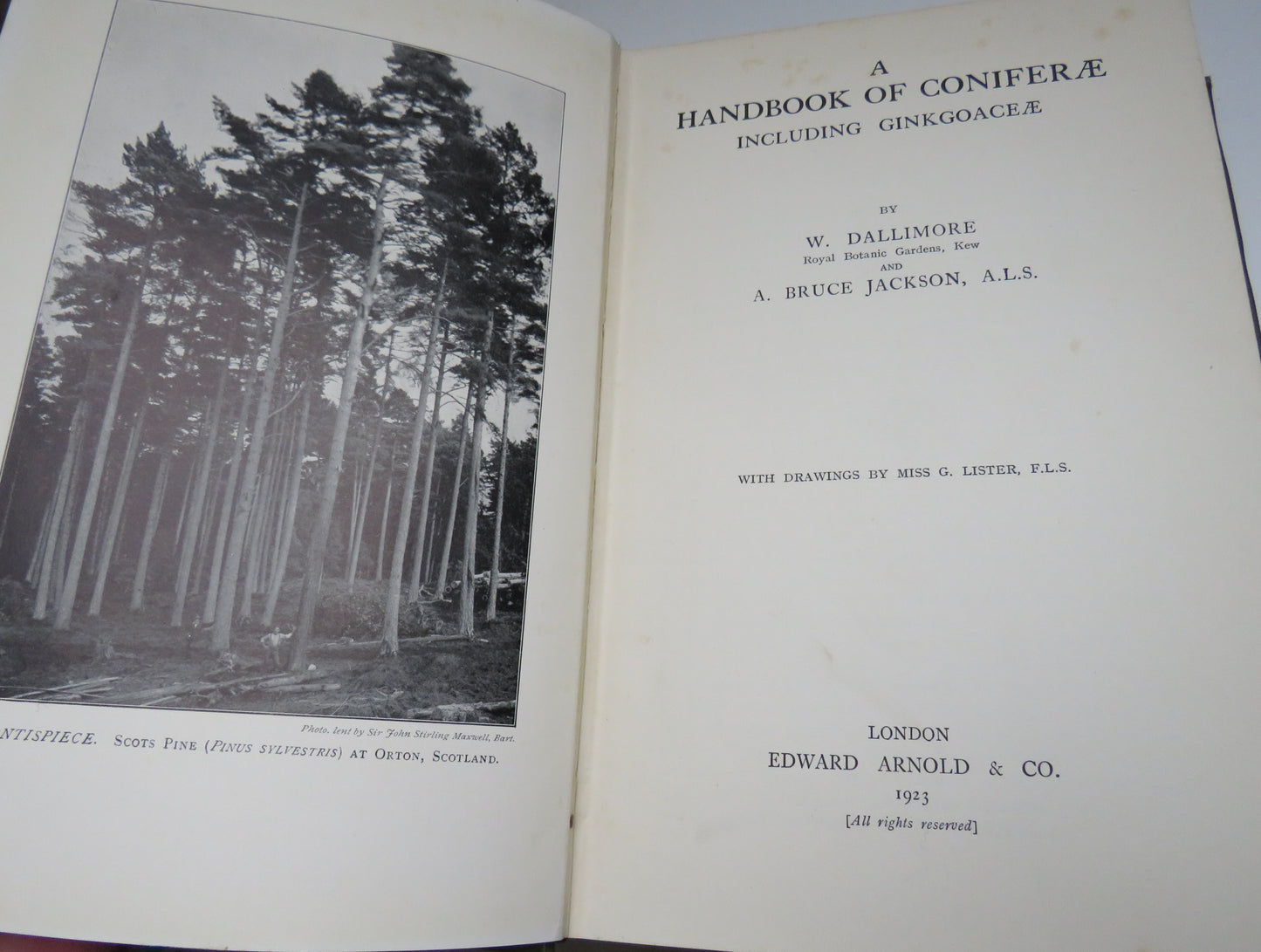 A Handbook of Coniferae including Ginkgoaceae by W. Dallimore & A. Bruce Jackson, 1923