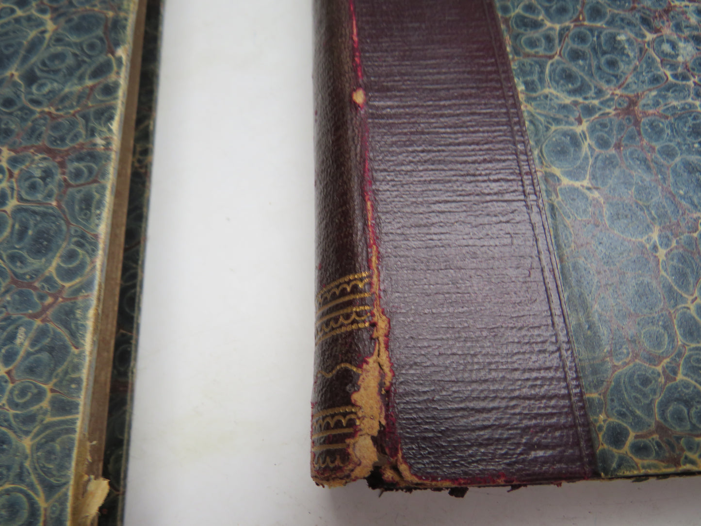 The Younger Woman a Monthly Journal and Review Conducted By Frederick A. Atkins Volume I & II October 1892-September 1893, October 1893- September 1894