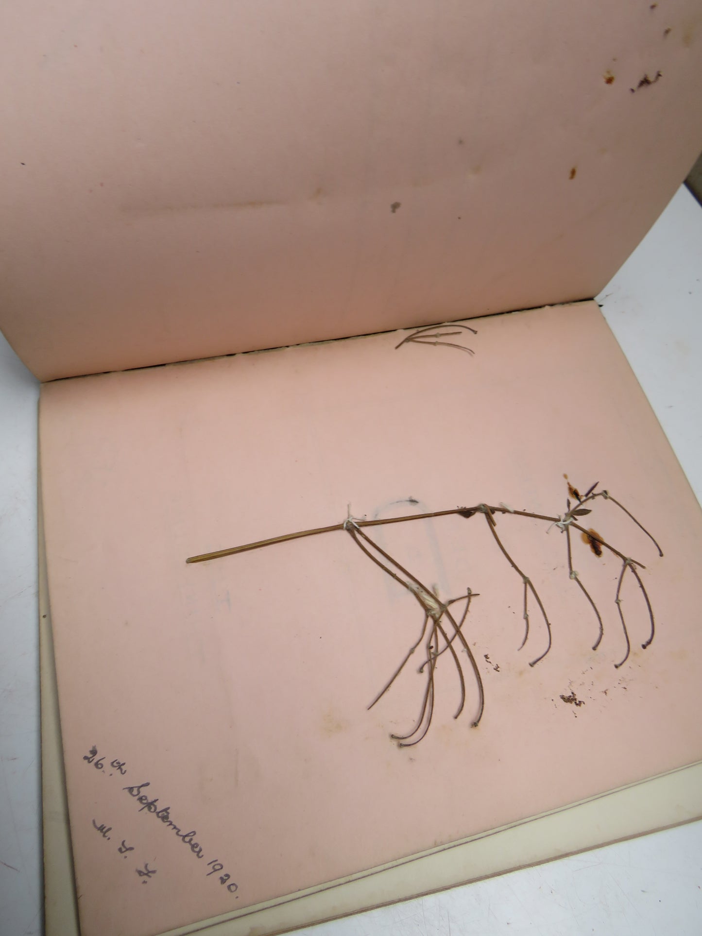 A Very Interesting Antique Scrap Book With Drawings, Poems, Messages etc.