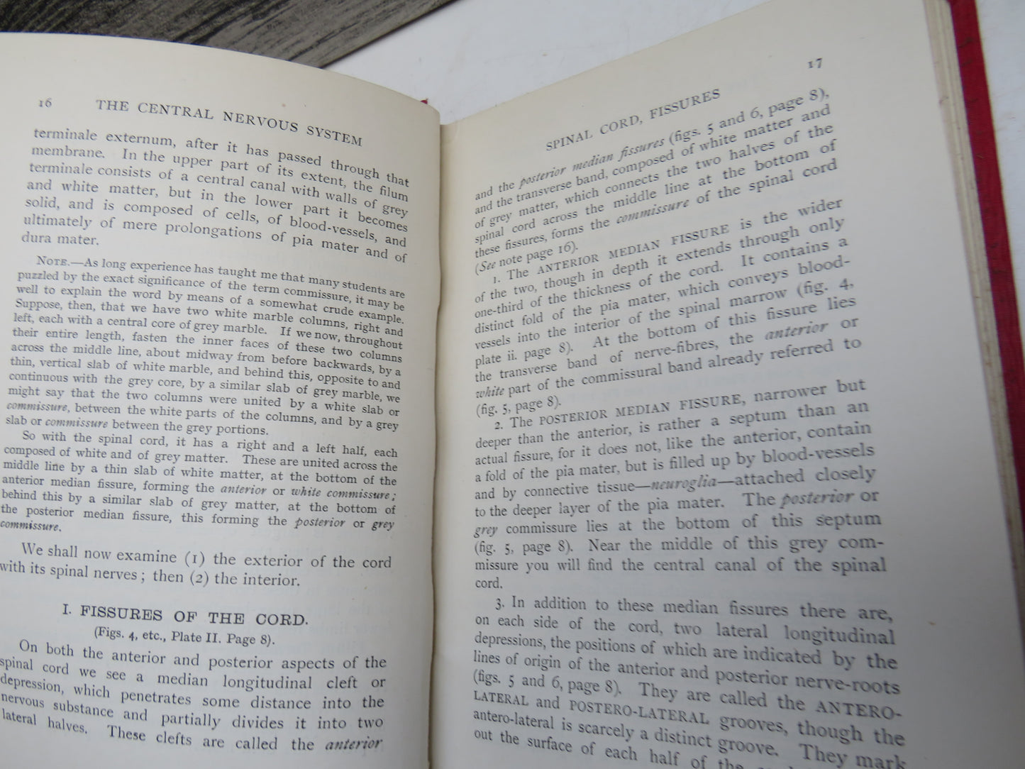 Anatomy of the Brain and Spinal Cord By J. Ryland Whitaker 1921 Antique Book