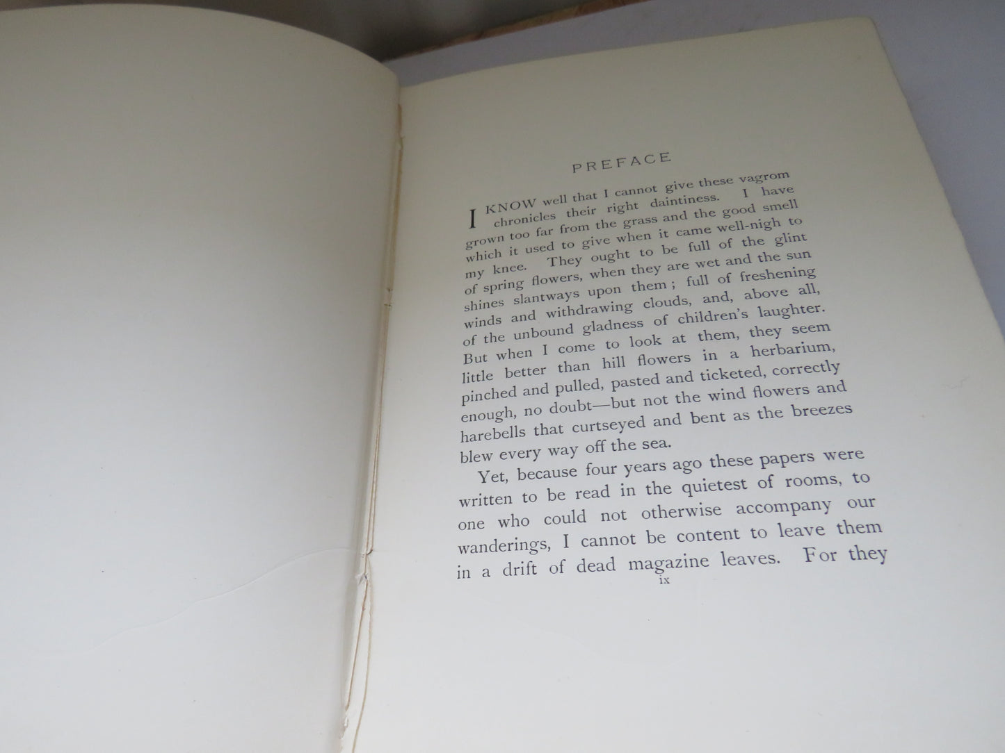 Sweetheart Travellers A Child's Book For Children For Woman and For Men By S.R. Crockett 1895
