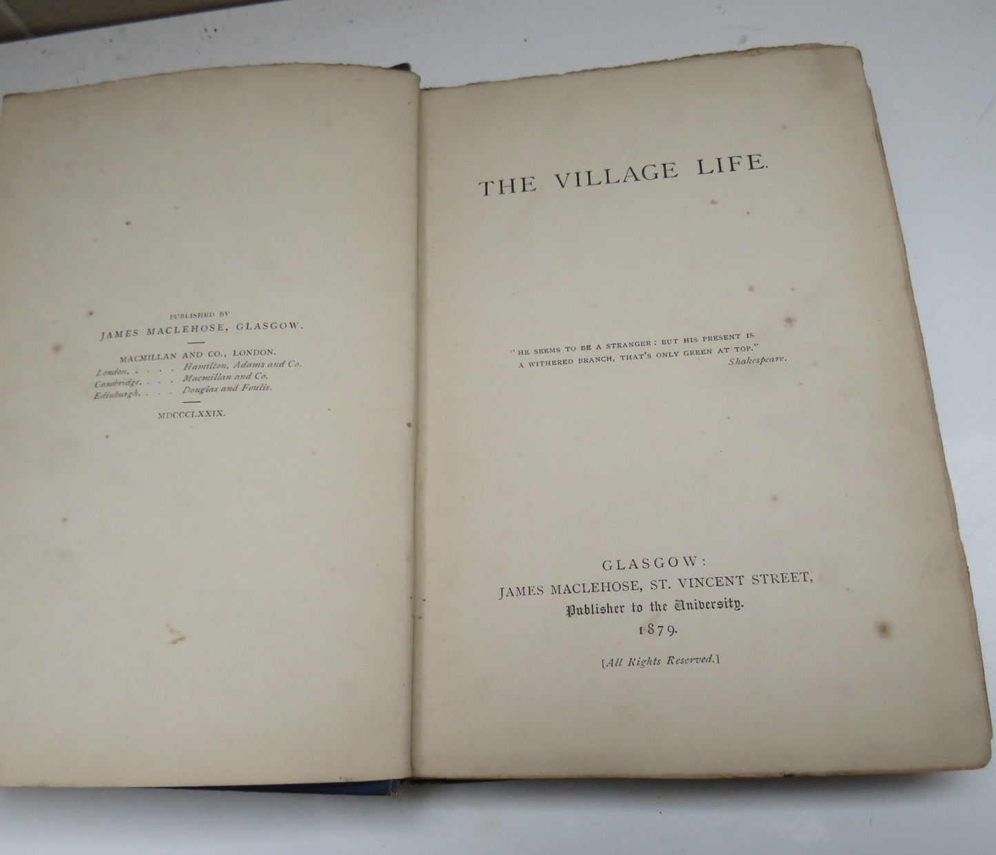 The Village Life 1879